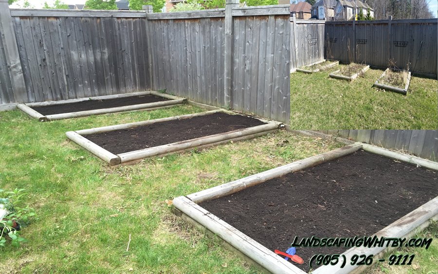 Vegetable Garden Cultivating